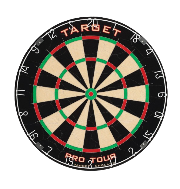 Pro Tour Dartboard