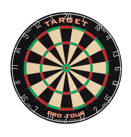 Pro Tour Dartboard